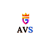 The AVS Technology logo