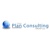 The Plan Consulting Group logo