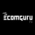 theecomguru logo