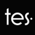 TheEvaSite, LLC logo