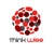 Thinkwise Consulting LLP logo