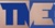 Total Management Experts logo