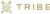 Tribe Interactive, LLC logo