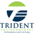 Trident Environmental Consultants logo
