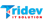 Tridev IT Solution Pvt. Ltd. logo