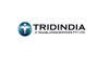 Tridindia IT Translation logo