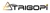 TrigoPi logo