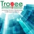 Troyee Software logo