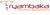 Tryambaka Techno Solutions logo