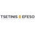 TSETINISEFESO logo