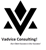Vadvice Consulting Services LLP logo
