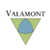 Valamont Advisors logo