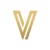 VanguardTech logo