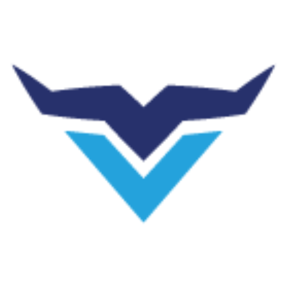 Veemi Accounting logo