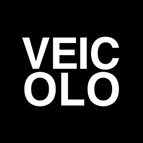 Veicolo Agency logo