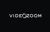 Videozoom logo