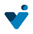 Vihaa Infotech LLP logo
