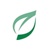 Vine Group logo