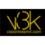 Visin 3000 logo