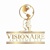 Visionaire Academy LLC logo