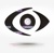 Visualma logo