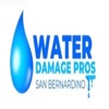 Water Damage Pros - San Bernardino logo