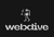 Webdive logo