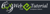 Webetutorial logo