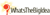 Whats The Big Idea logo