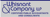 Whisnant & Company LLP logo