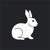 White Rabbit Group Inc logo