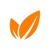 Whitefield Consulting logo