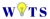 Wisdom IT Solutions logo