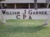 wjg & Assoc PLLC logo