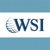 WSI Simply ROI logo