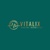 www.vitalixdigital.ca logo