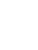 Wyvern Security logo