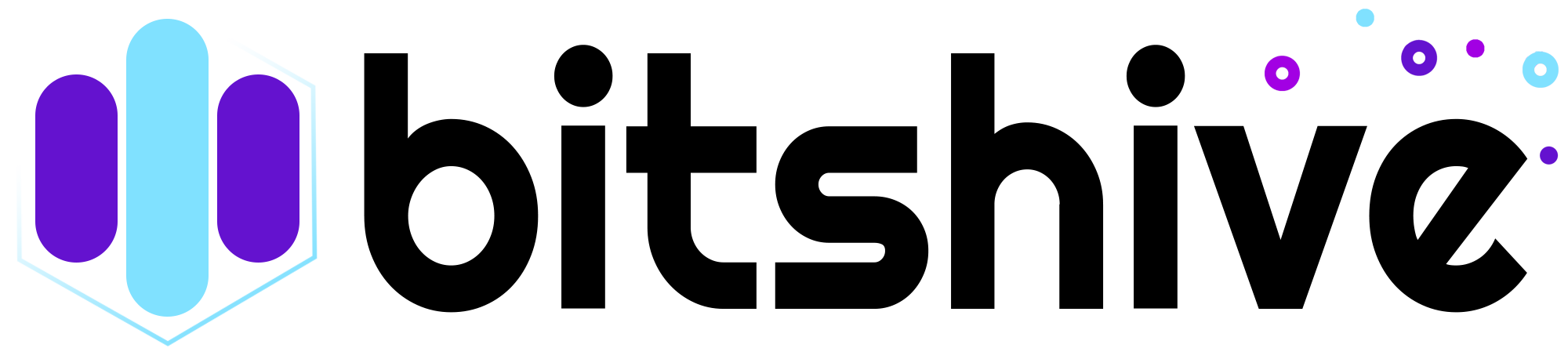 BitsHive Portfolio Screenshot