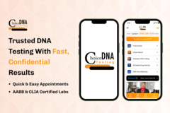CodeAegis Pvt Ltd Portfolio Screenshot