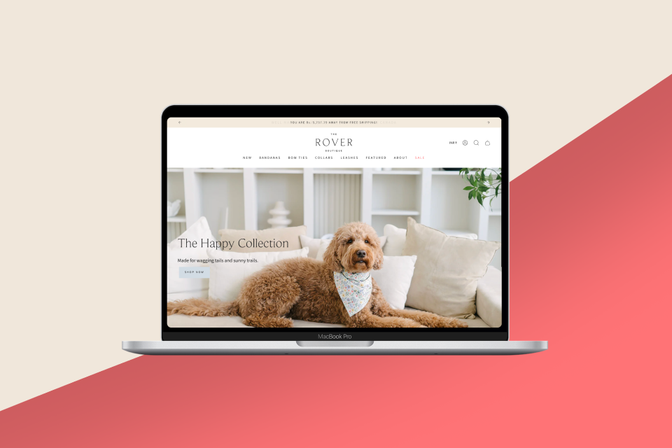 eCommerce Development Pros Portfolio Screenshot