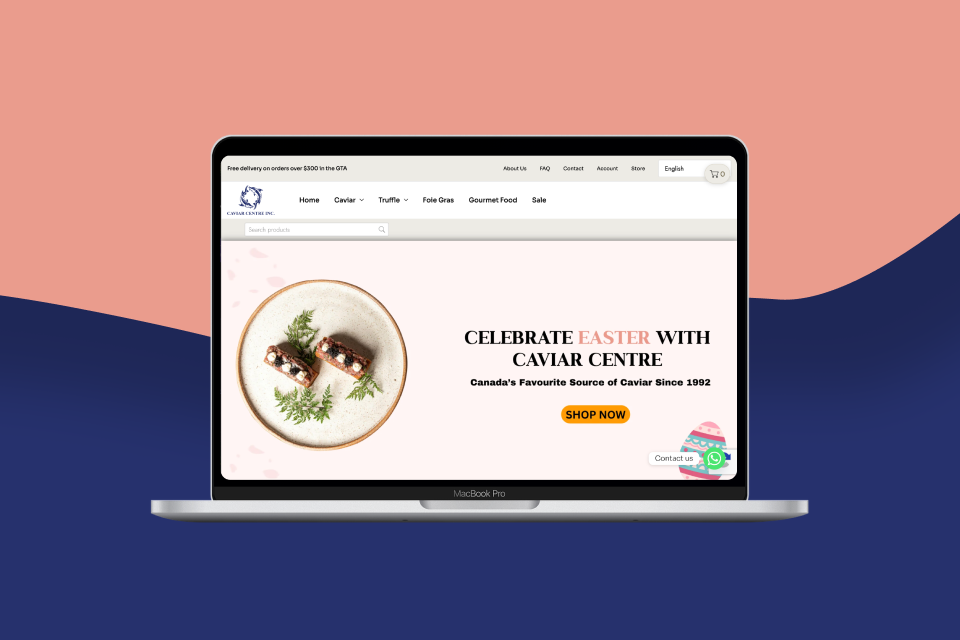 eCommerce Development Pros Portfolio Screenshot