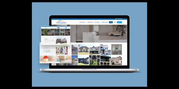 EitBiz Portfolio Screenshot
