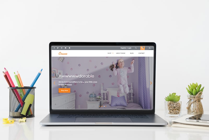 Elsner Technologies Pvt Ltd Portfolio Screenshot