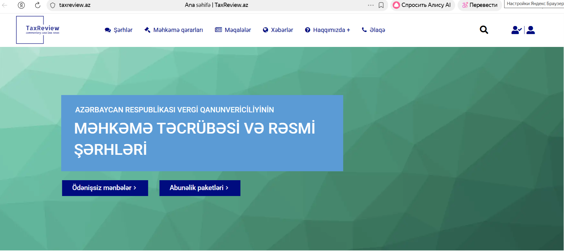 Intactdia Portfolio Screenshot