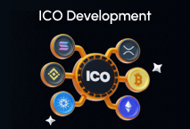 Pixel Web Solutions Portfolio Screenshot