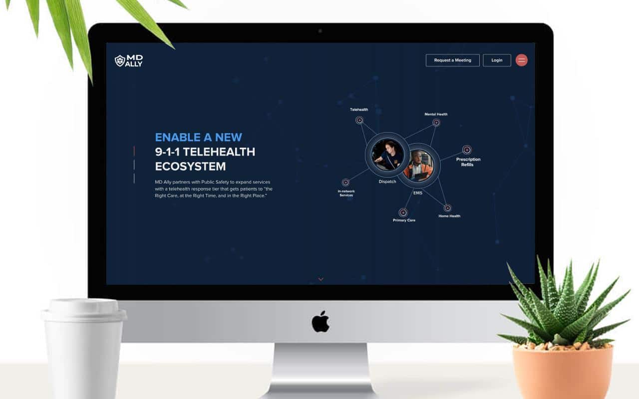 Scopic Portfolio Screenshot