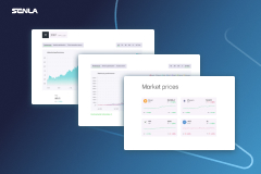 SENLA Portfolio Screenshot