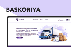 SkySoft Company Portfolio Screenshot