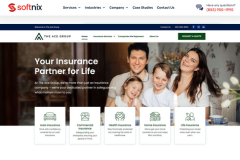 Softnix Portfolio Screenshot