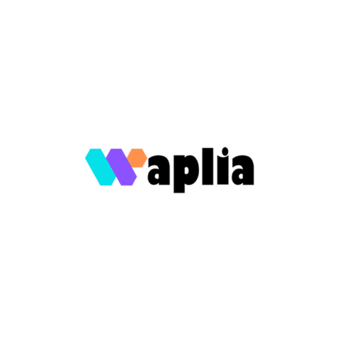 Waplia Digital Solutions Private Limited Portfolio Screenshot